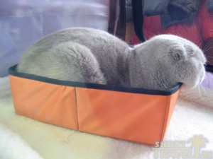 Так я чувствую себя безопаснее…