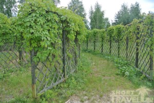 Вход в греческий театр напоминает лабиринт