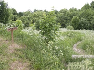 А до источника ещё 4 км. И всё ножками…