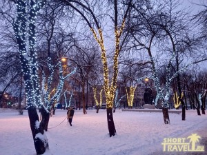 Наряженные деревья