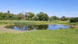 mini_tyrnovo_160724