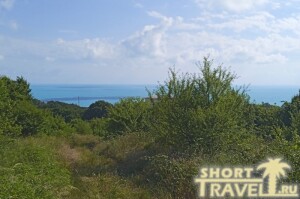 ne_smotrovaja_ploshchadka_30072024
