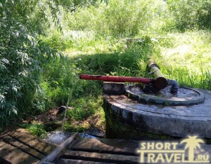 rodnik_tyrnovo_160724