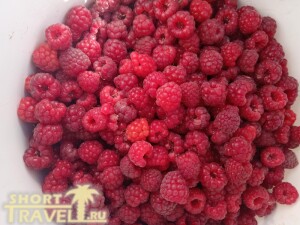 jagodki_maliny_26092024
