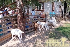 Вид сзади тоже заслуживает внимания