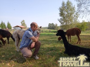 obshchenije_s_alpakoj_01092024