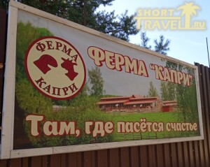 vyveska_kapri_01092024