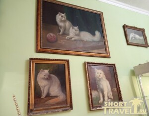 IMG20260528155351