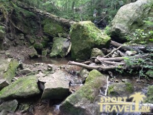 05_kamni_i_palki_180626